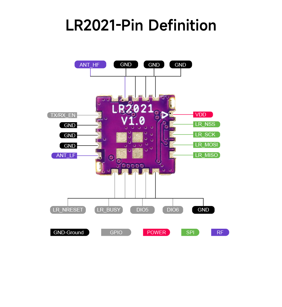 LR2021 Module Pinout